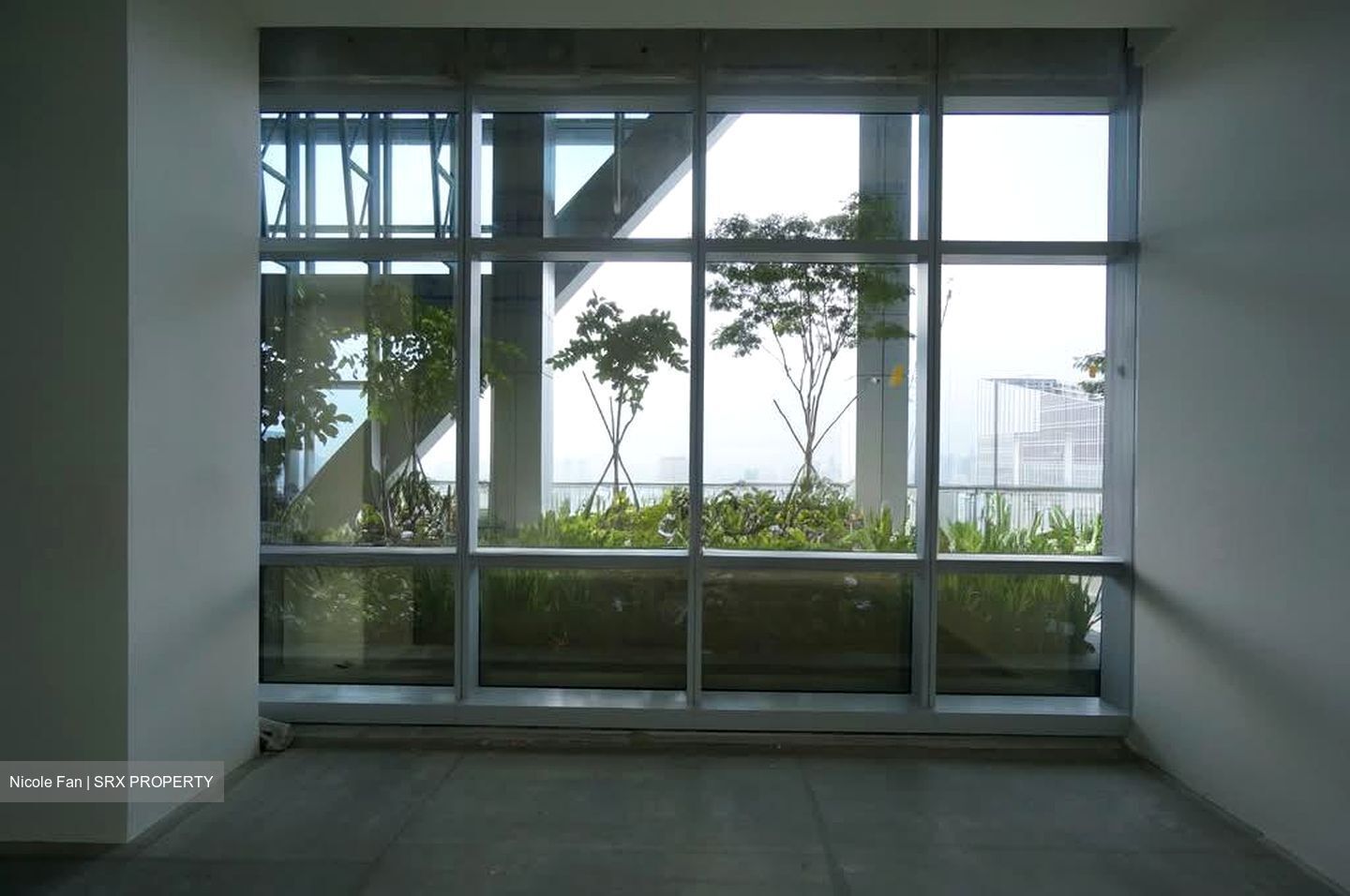 Sbf Center (D1), Office #559252101